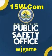Descubra o Programa VIP da wjgame: Vantagens Exclusivas para Jogadores